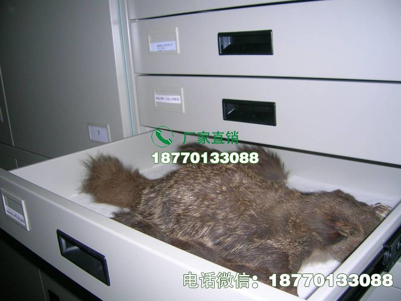 动物标本密集柜